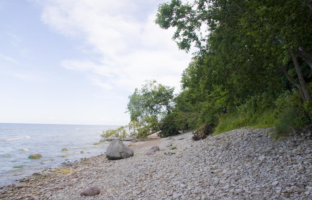 Camping Maennisalu Toila Exterior photo